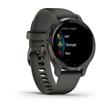 Smartwatch Garmin Venu 2S Gris