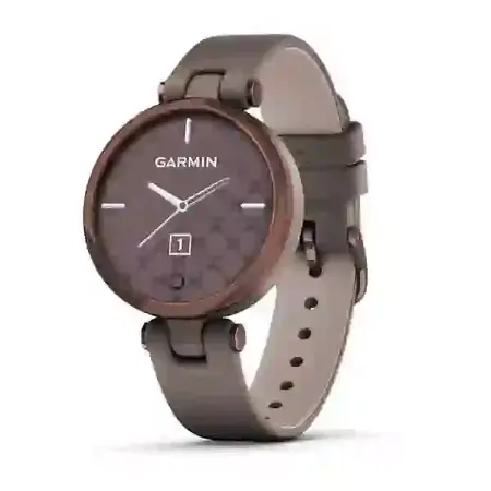 Smartwatch Garmin Lily Classic