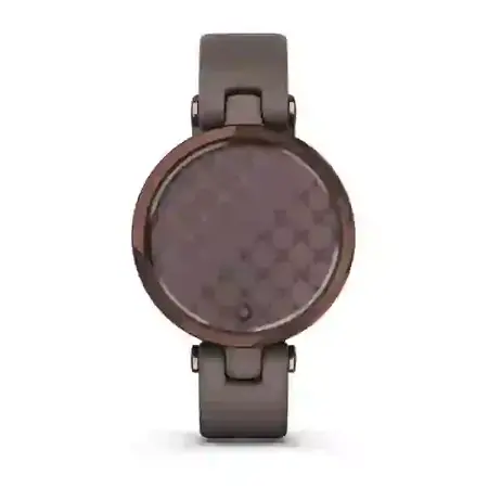 Smartwatch Garmin Lily Classic