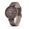 Smartwatch Garmin Lily Classic